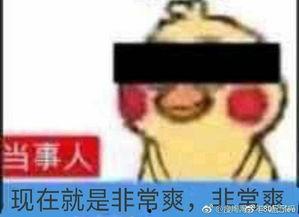 娱乐你我他吃瓜,揭秘娱乐圈那些吃瓜背后的故事